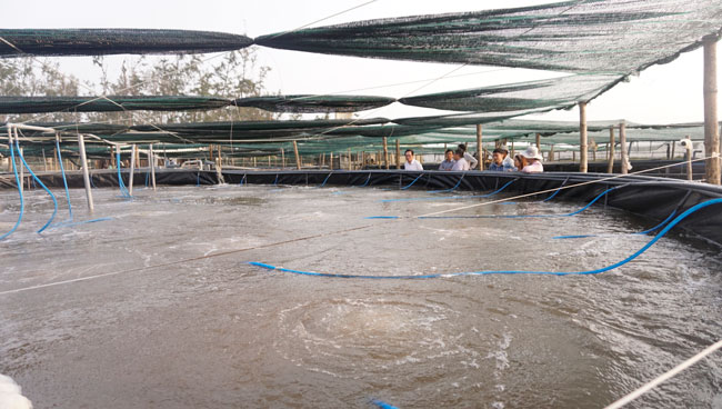 Kiểm tra thực tế đề tài “Nghiên cứu ứng dụng công nghệ quản lý ổn định môi trường nước trong ao nuôi tôm siêu thâm canh ở huyện Mộ Đức, tỉnh Quảng Ngãi”.