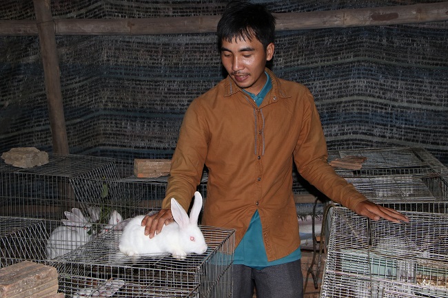 Hợp tác xã chăn nuôi thỏ Quảng Ngãi tạo luồng gió mới cho thành phần kinh tế hợp tác xã trên địa bàn tỉnh.