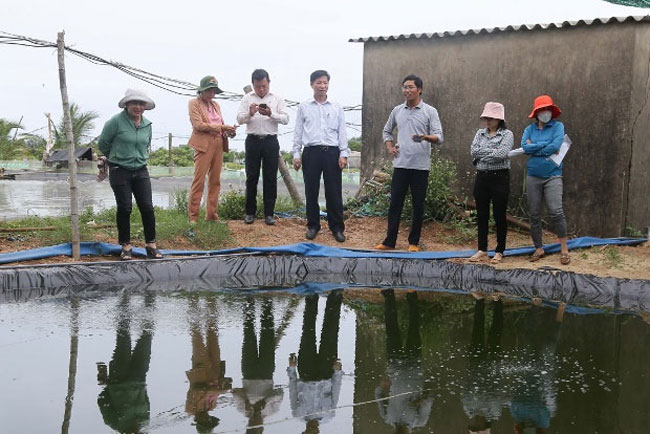 Kiểm tra đề tài Nghiên cứu sinh sản nhân tạo và nuôi thử nghiệm thương phẩm cá bống cát Sông Trà tại xã Nghĩa Phú (TP.Quảng Ngãi).
