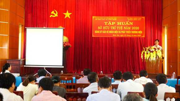Tập huấn sở hữu trí tuệ năm 2020 tại huyện Bình Sơn.