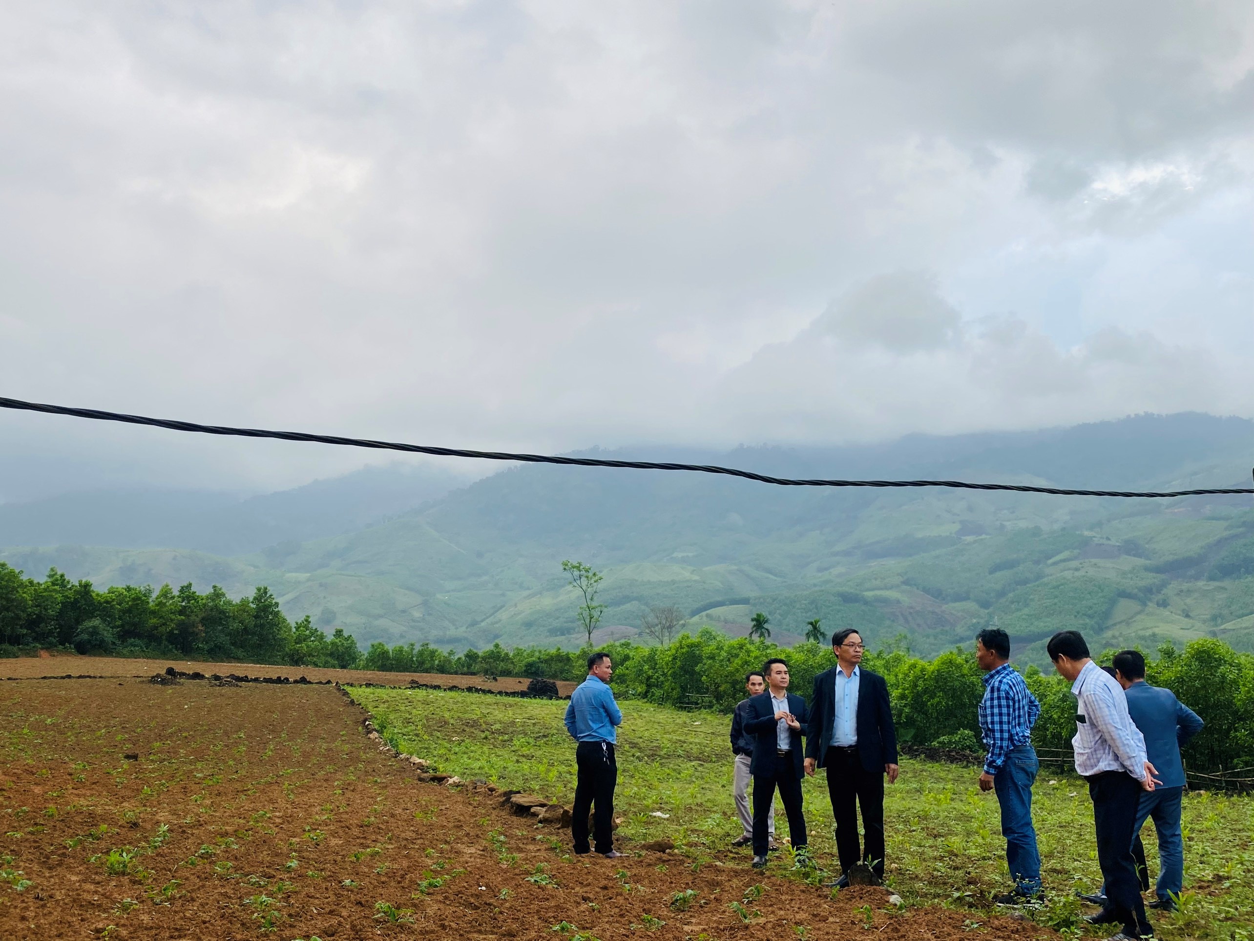 Quảng Ngãi: Khảo sát đầu tư, triển khai dự án liên kết chuỗi sản xuất nông nghiệp tại các huyện miền núi