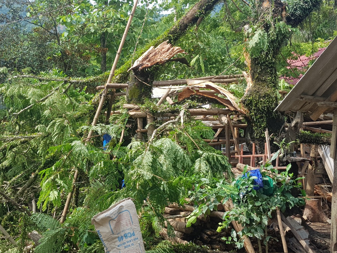 Lốc xoáy làm bị thương 1 người và hơn 170 nhà bị hư hỏng tại xã Ba Tô, huyện Ba Tơ