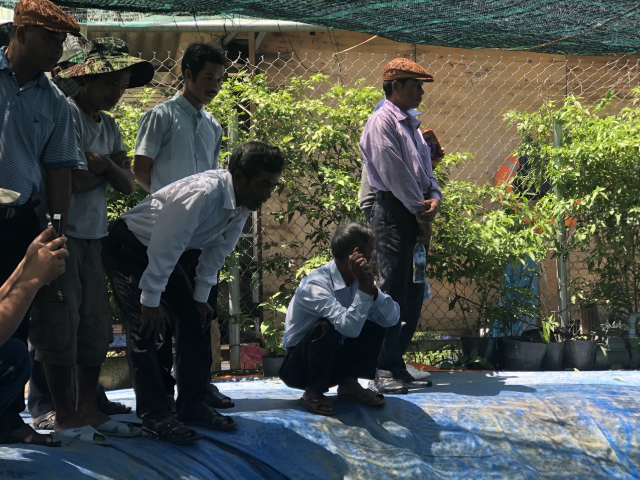 Trà Bồng: Tổ chức cho người có uy tín trong đồng bào dân tộc thiểu số tham quan mô hình nuôi cá tầm, trại ươm giống tại huyện Sơn Tây